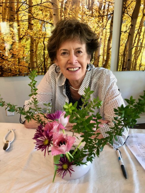 Obituary of Leslie Anne Tainsky