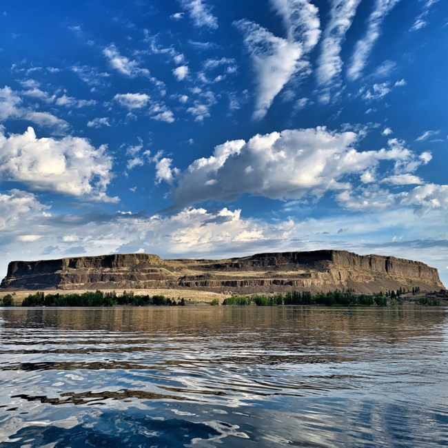 Obituary of Richard Dennis Henry