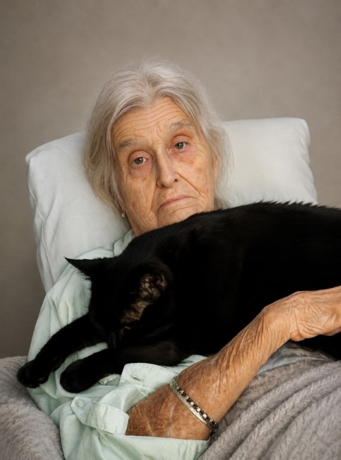 Obituary of Evelyn Irene Dagenhart Humble Marlowe