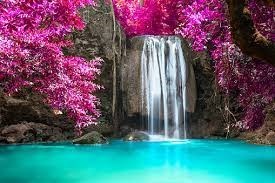 Obituary of Vickie Lynn Moody