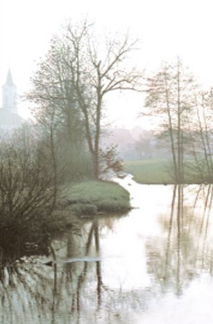 Obituary of Carol L. Bull