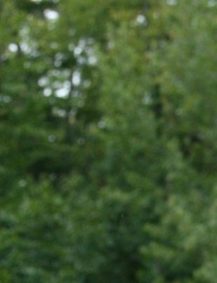 Thomas Ward Obituary - Toronto, ON