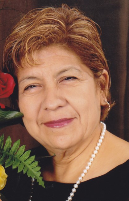 Obituary of Andrea "Andi" T. Perez