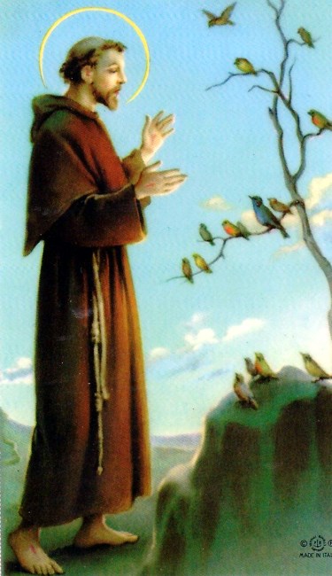 Obituary of Francis Leonard Battifarano