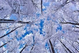 Obituary of Dolores Ruth Harris