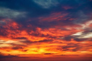 Obituary of Peter John Donalek