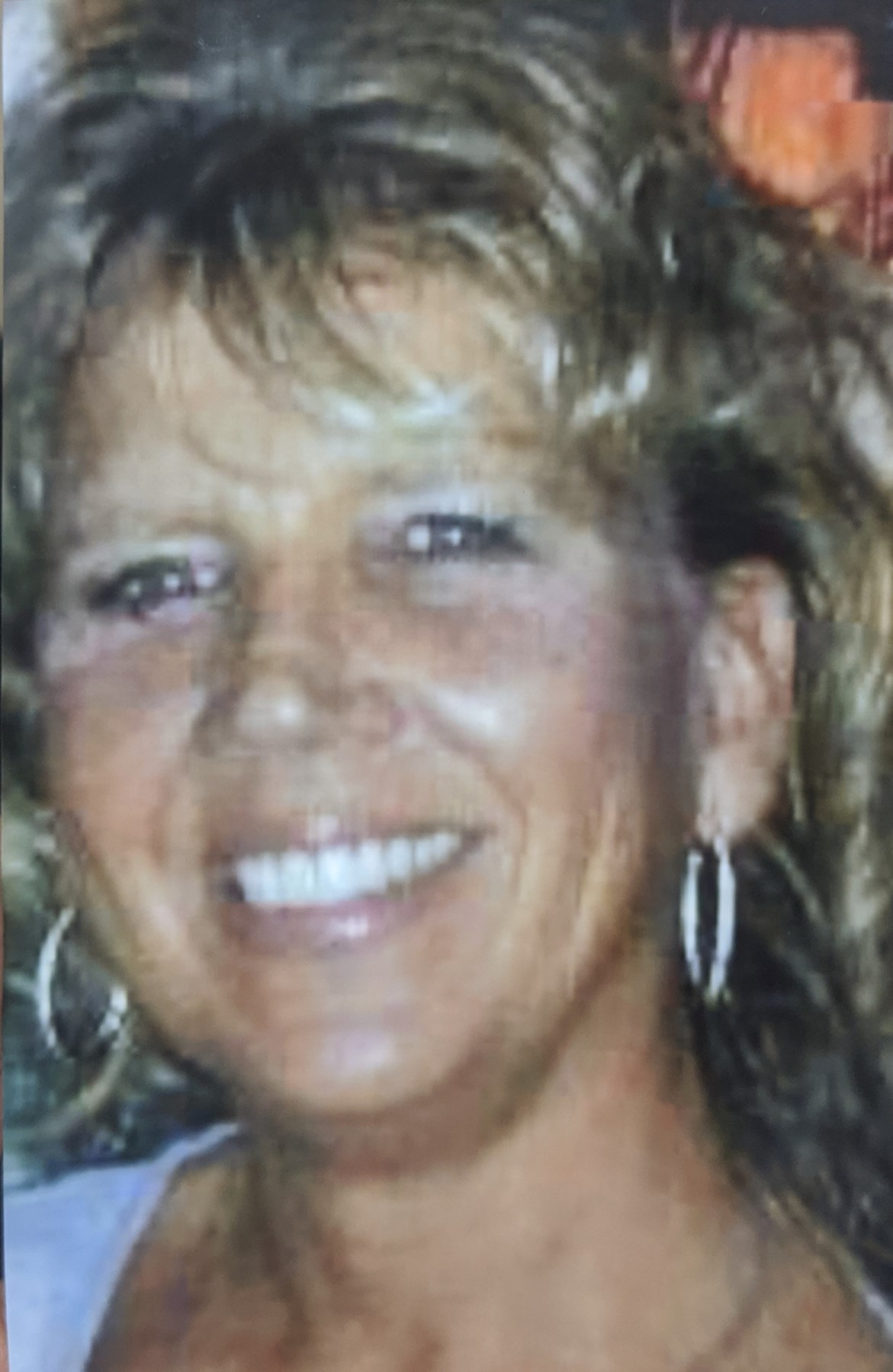 Tammy June Barnes Obituary Bloomington, IL