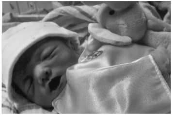 Obituary of Lorenzo Liam Moseley