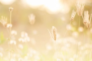 Obituary of Irwin Goldstein