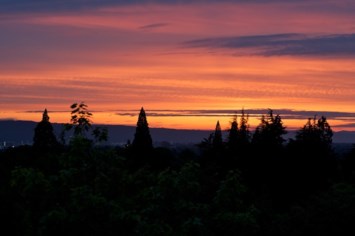 Obituary of Nikolaos "Nick" George Demonakos