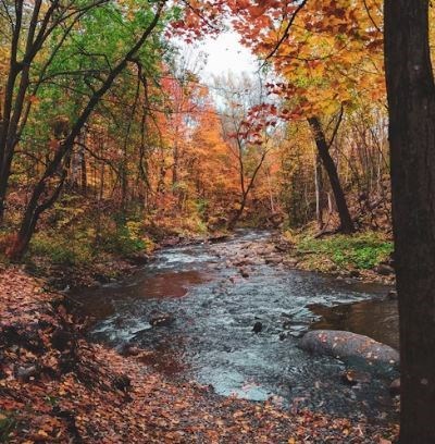 Obituary of Meho Mestrovac