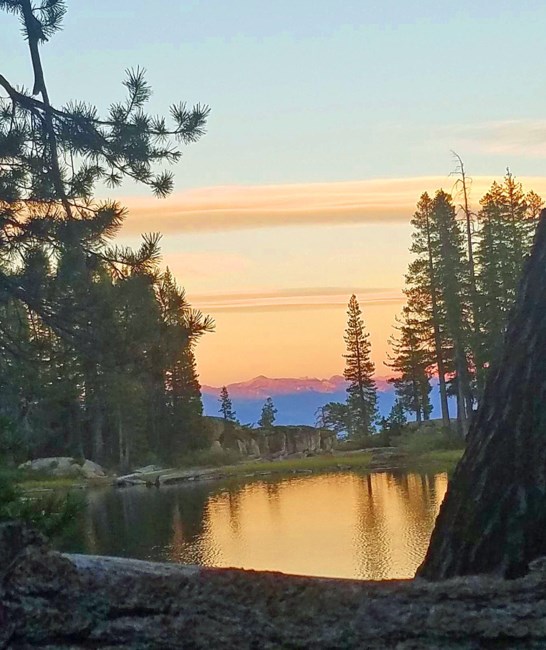 Obituario de Phillip Leon Ward