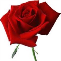 Obituary of Marrice (Mary) Helen Reid Marshall