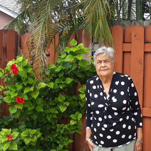 Obituary of Rosa Echeverria