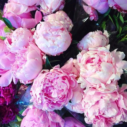 Obituary of Donna June Hunter