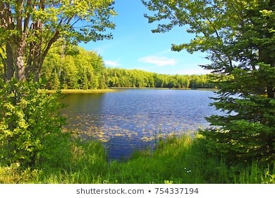 Obituary of Clyde Mitchell