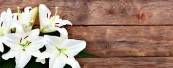 Obituary of Diana Margaret Renslow