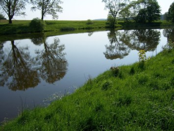 Obituary of Barbara Ann Costello