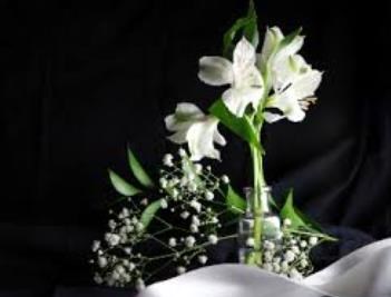 Obituary of Edward Robert Callow