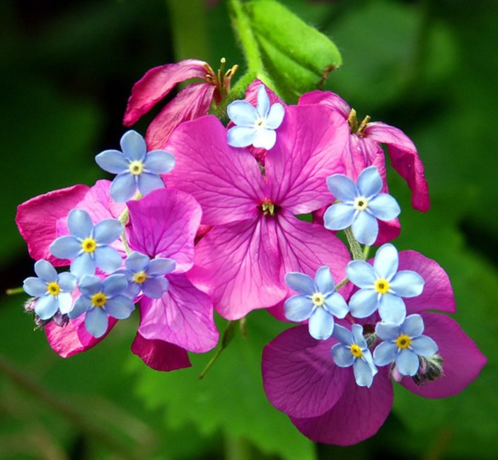 Obituary of Barbara R. Peterson