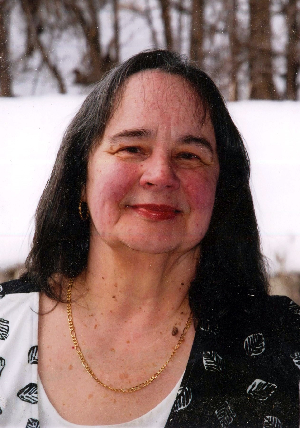 Diane Catherine Clark Obituary Minneapolis, MN