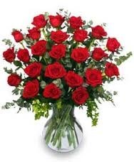 Obituary of Martha Jane Adams