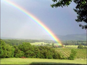 Obituary of Baby Boy Jones