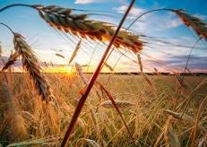 Obituary of Larry W. Fowler