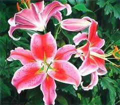 Obituary of Lillian Nelson Phoenix