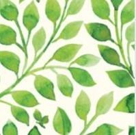 Obituario de Mr. Peter Milton Grande Jr.