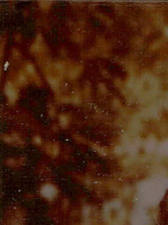 Patsy Robinson Obituary - ALEXANDER, AR