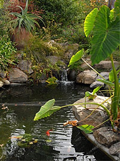 Obituary of Marvin Wineman