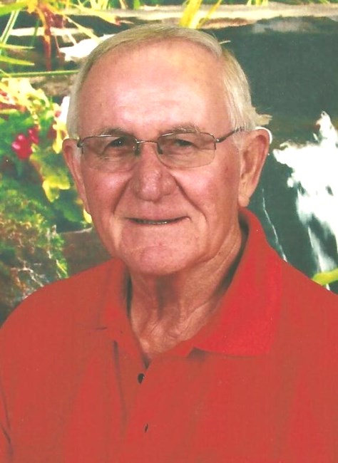 Obituary of Dwight Junior Murray