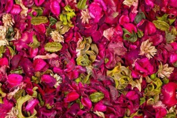 Obituario de Dorothy R. Mayer