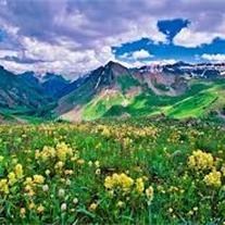 Obituary of Apryle Lynne Wooten