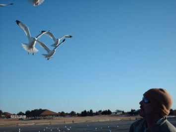 Obituary of David K. Voss Jr.