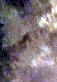 Jeremy Patrick Rice Obituary New Hope, MN