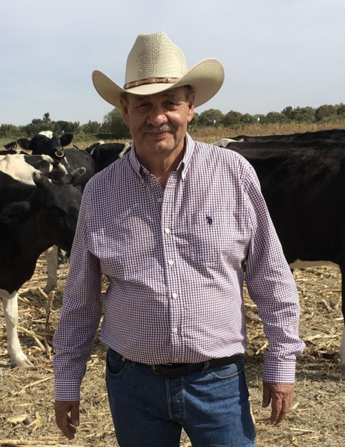 Obituario de Pedro Ocegueda Lopez