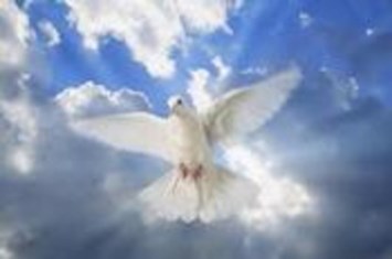 Obituary of Catherine M. McDermott