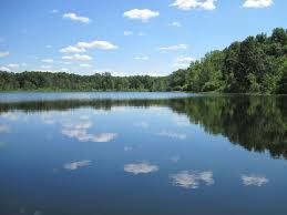 Obituary of Craig Benjamin