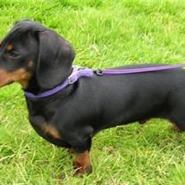 Obituario de John Coleman