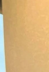 Adam Ripp Obituary - Peoria, IL