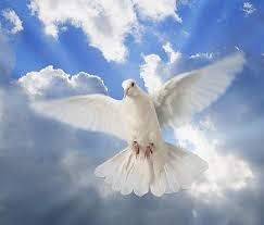 Obituary of Byron Earl Alexander