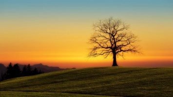 Obituary of Ernest Minicucci