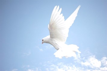 Obituary of Cornelia Elizabeth Conlee