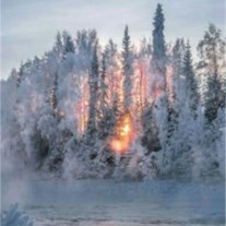 Obituary of Jean E Carlson