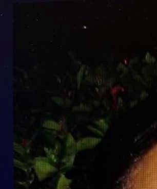 Jacqueline J. Tassy Obituary - Lisle, IL