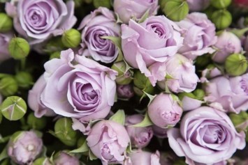 Obituary of Janet Louise Riley