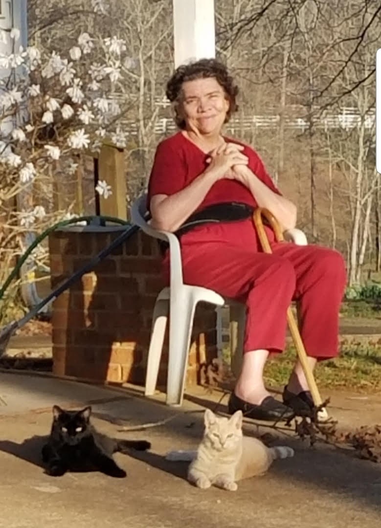 Obituary of Carol Ann Salva Jones