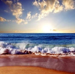 Obituary of Gabriel Ossa